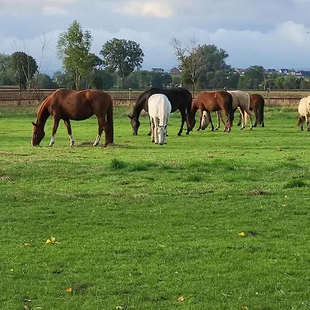 Familienparadies Auf Dem Reiterhof Daire *