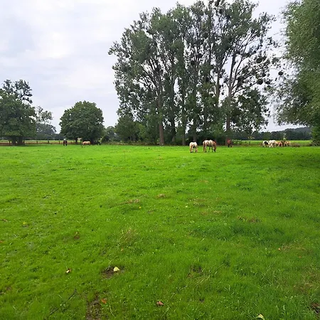 Familienparadies Auf Dem Reiterhof Daire *